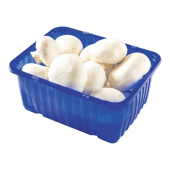Champignons
