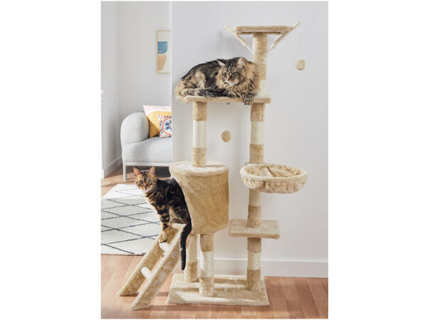 CAT ACTIVITY TOWER