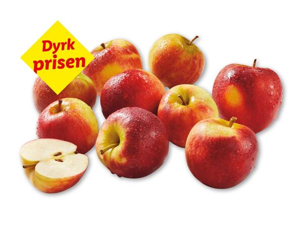 Æbler