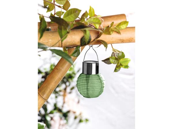 Solar Lantern