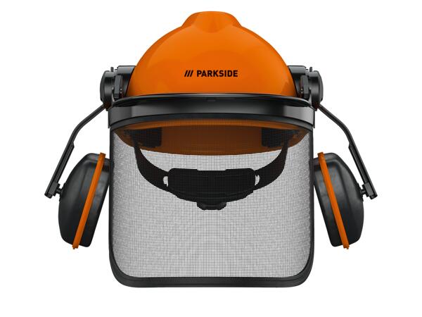 Forestry Safety Helmet