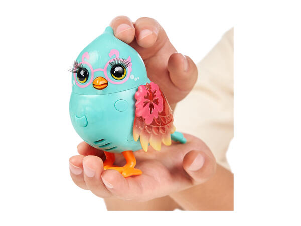 Little Live Pets Assortment