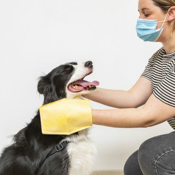 Gebruiksklare washandjes voor honden