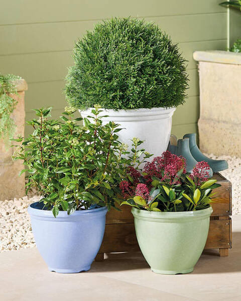 38cm Winchester Planter