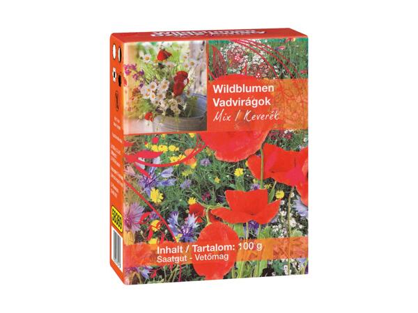 Vilde og sommerblomsterfrøblanding