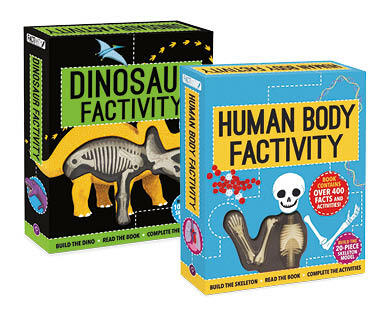 Factivity Book and Component Set