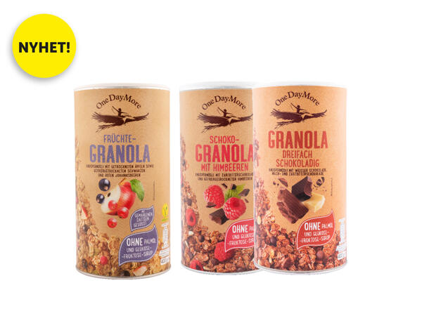 OneDayMore Granola