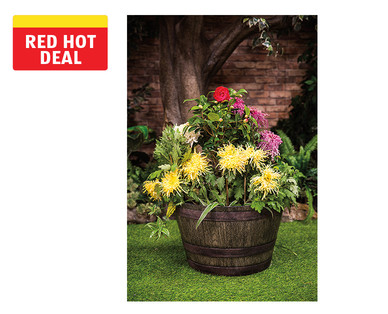Gardenline Whiskey Barrel Planter