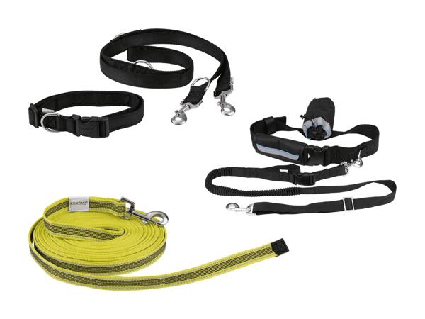 Laisse pour chiens