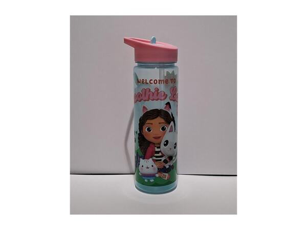 Gabby's Dollhouse 600ml Character Water Bottle