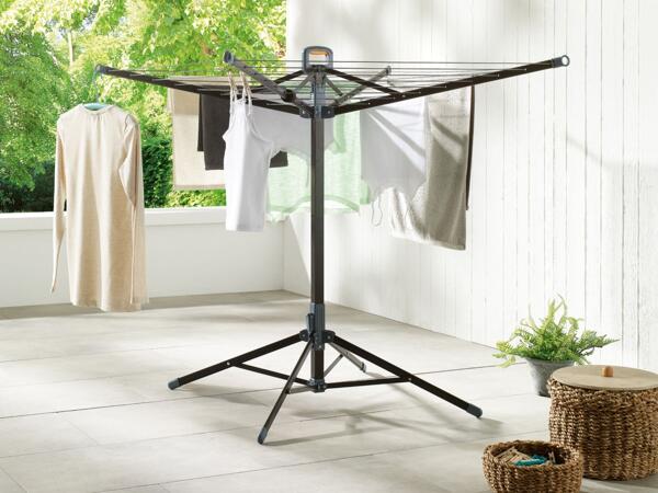 Standwäschespinne