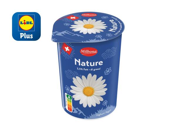 Yogourt nature 3,5%