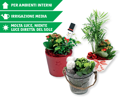 Composizioni per le feste con decorazione natalizia