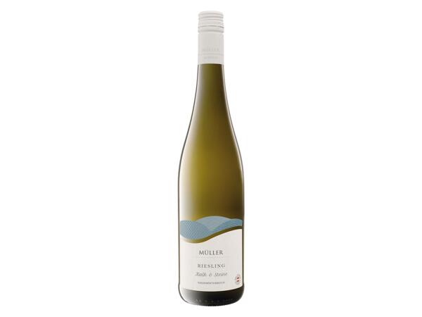 RIESLING 2023 DOLNÍ RAKOUSKO