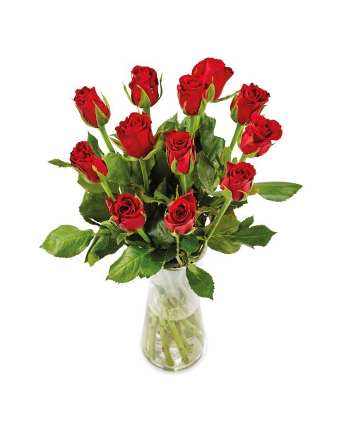 A Dozen Red Roses