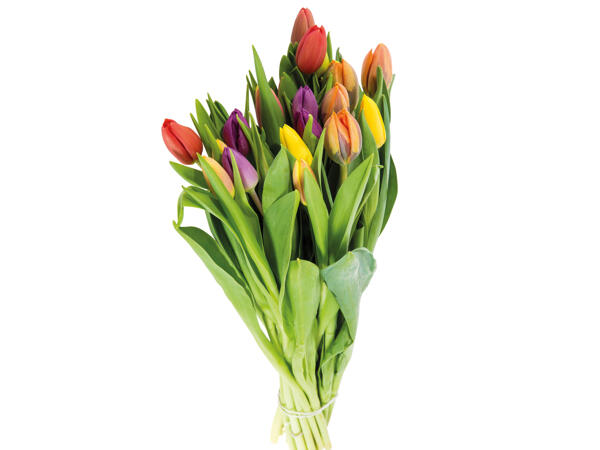 Tulpenstrauß Kunterbunt