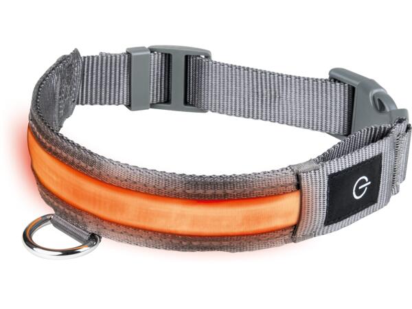 LED Dog Band / LED Dog Collar