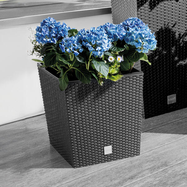 Blumentopf