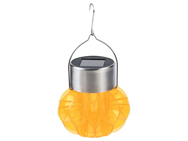 Livarno Decorative Solar Light