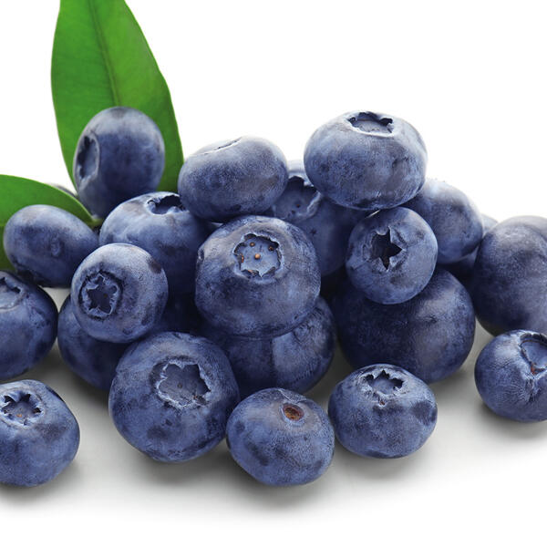 Premium Heidelbeeren