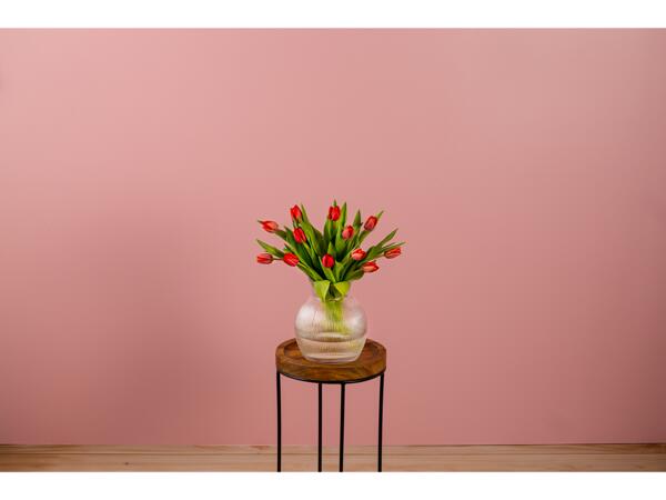 Valentine's Tulips