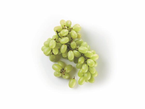Seedless Grapes
