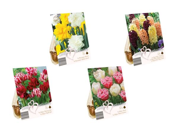 Blomsterløg