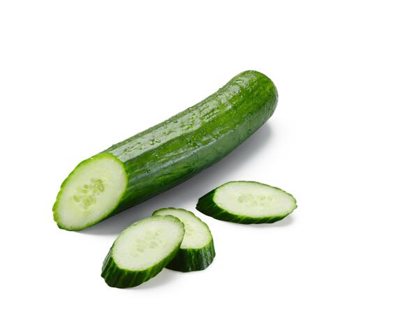 Bio okurka