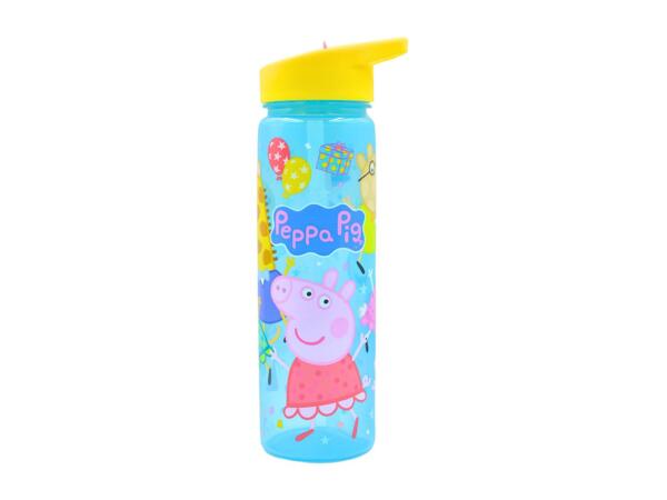 Zak 600ml Character Water Bottle