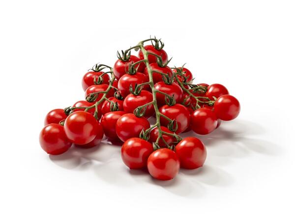 CHERRY RAJČATA KEŘÍKOVÁ