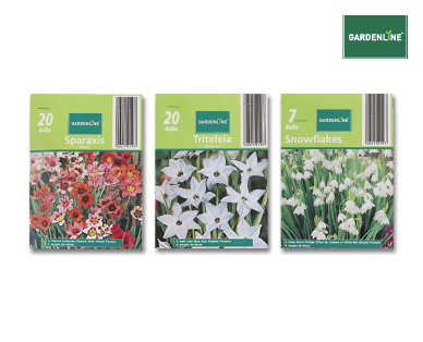 ASSORTED PACKET BULBS