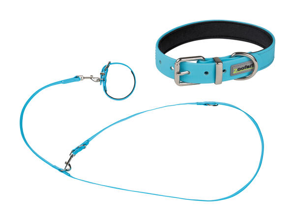 Collier pour chien (uniquement au Tessin)