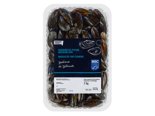 Moules élevées sur cordes