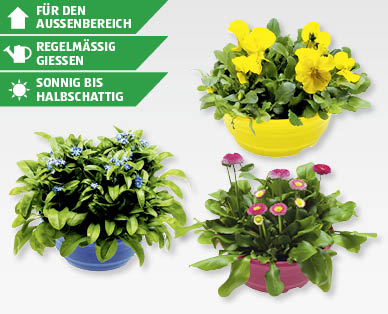 GARDENLINE(R) Frühlingsschalen