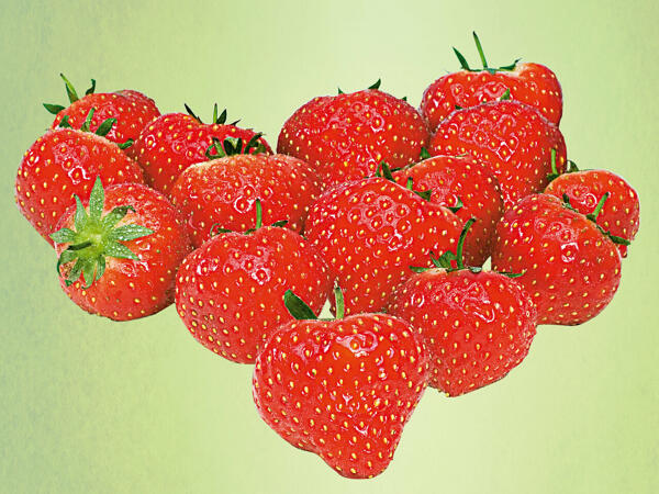 Erdbeeren