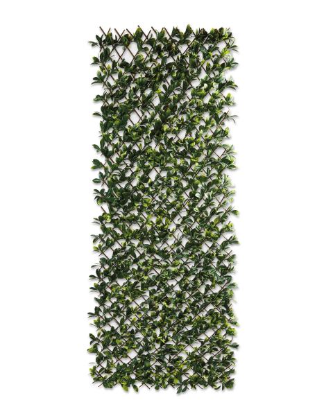 Expanding Laurel Leaf Trellis