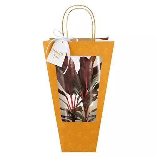 Decorated Foliage Bag - Assorted Varieties