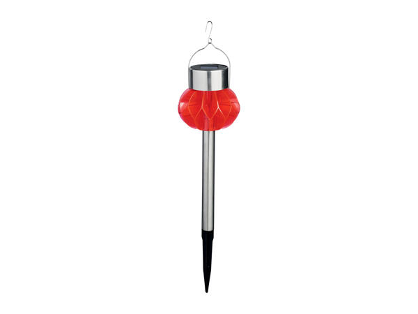 Livarno Home LED Solar Light