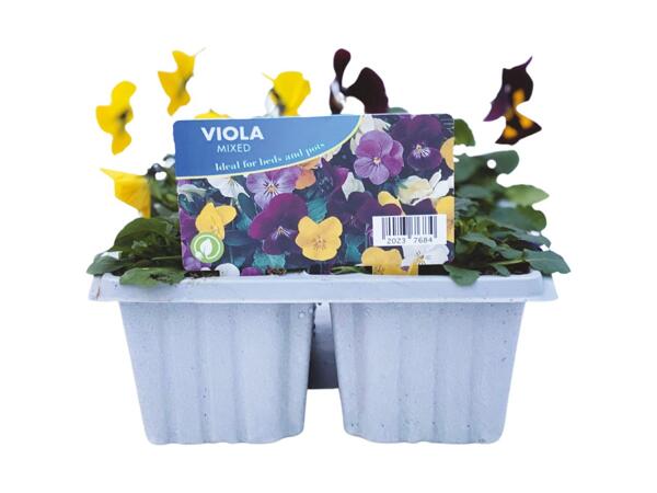 Autumn Bedding 6 Pack