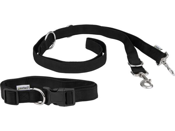 Dog Collar & Lead / Training Dog Lead