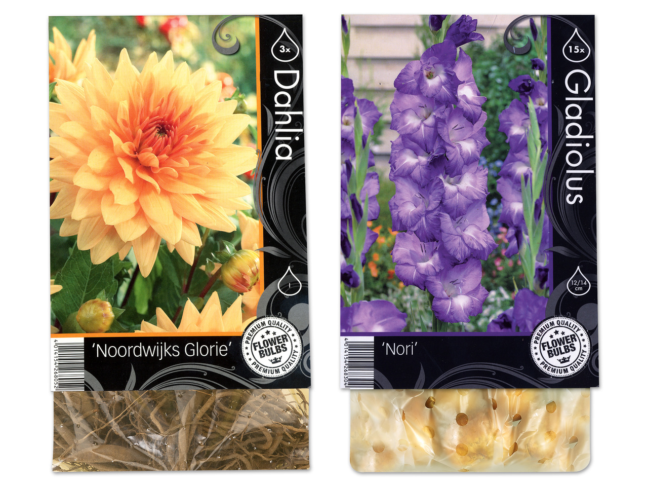 Herbstblumenzwiebel Premium