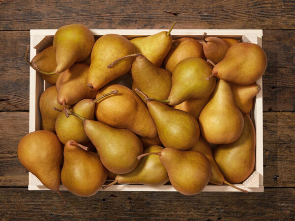 Pere