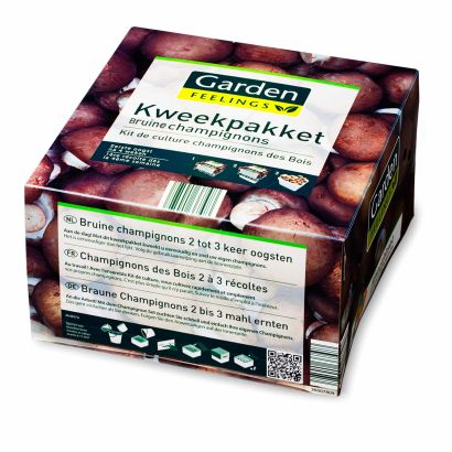 Kit de culture de champignons