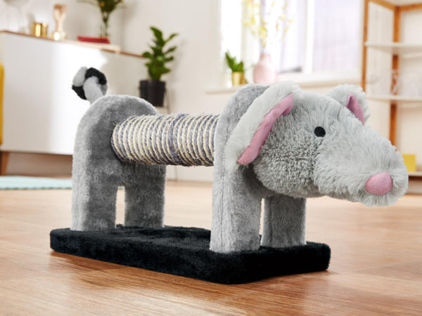Cat Toy
