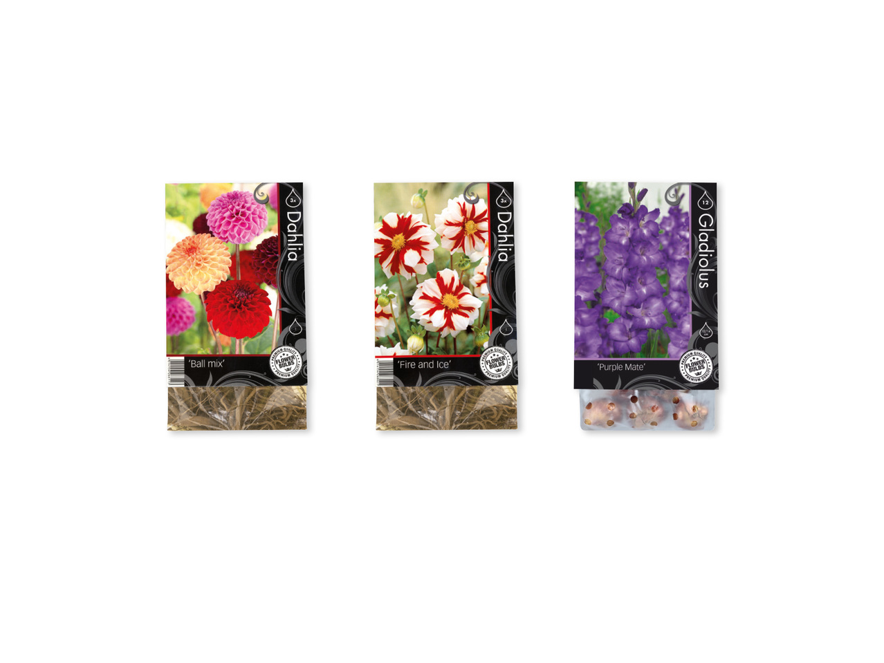 Blomlökar premium