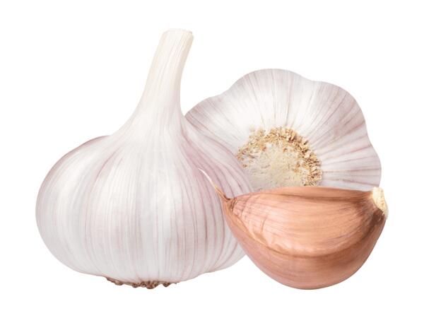 Bio Knoblauch aus Österreich