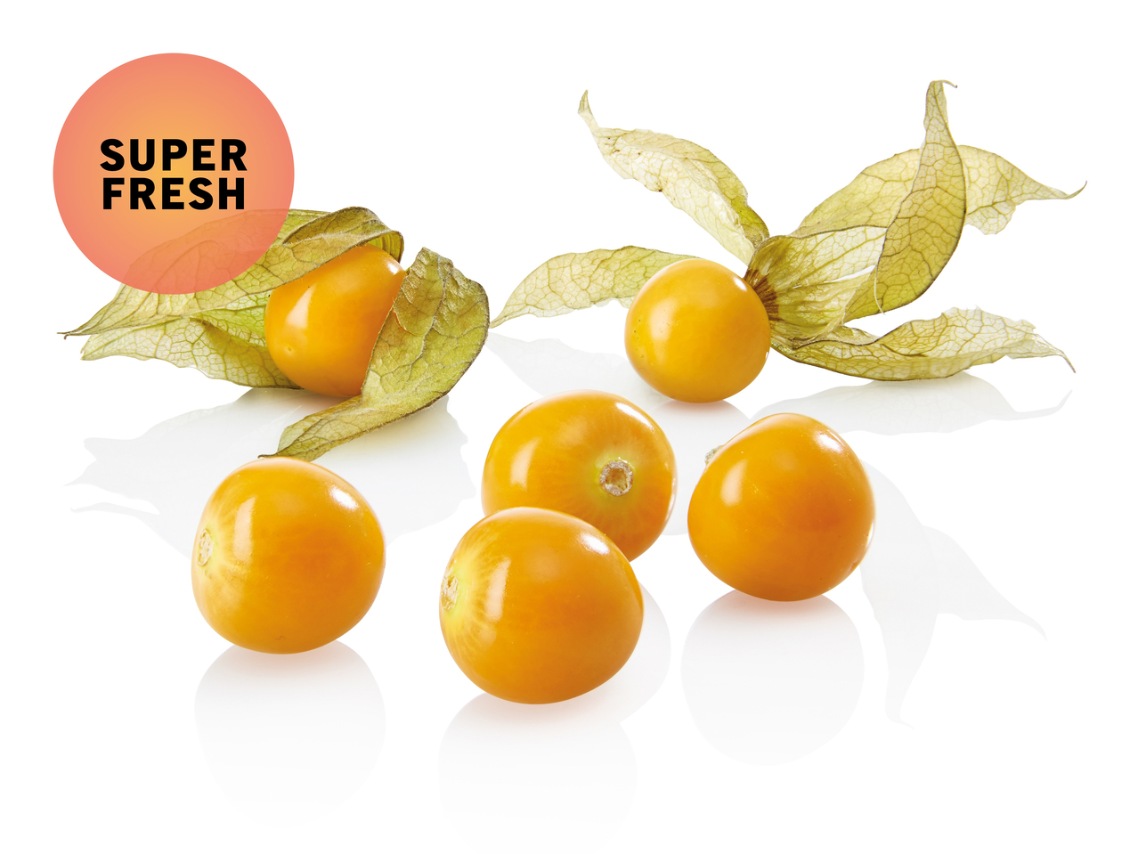 Physalis