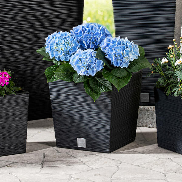 Blumentopf "Florenz" eckig