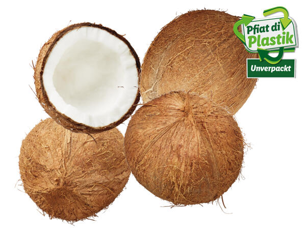 Kokosnuss
