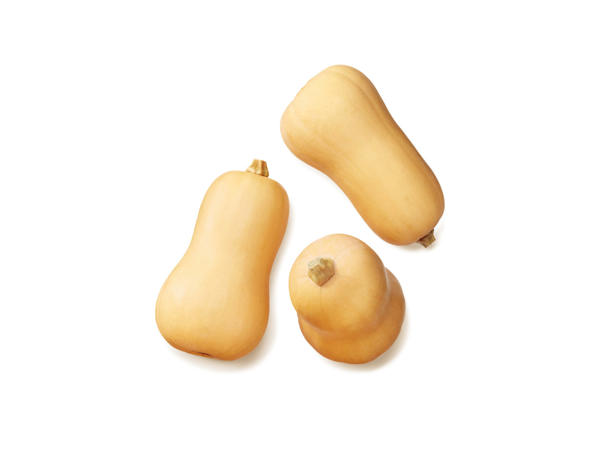 Matpumpa Butternut